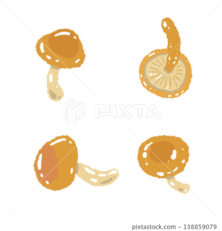 手繪滑子菇插圖（多種版本） 138859079