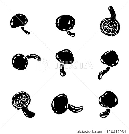 滑子菇（散落排列）的單色手繪插圖素材 138859084