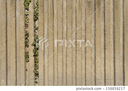 Concrete Wall with Vertical Ridges and Ivy Concrete Wall with Vertical Ridges and Ivy 138859217