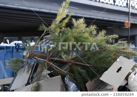 A discarded Christmas tree thrown into a trash container after the holiday season. The dry evergreen symbolizes the end of Christmas celebrations, waste, and post-holiday cleanup. 138859284