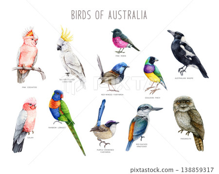 Australian birds with names clipart watercolor illustration set with cockatoo lorikeet kookaburra magpie owl, hand drawn exotic wildlife collection for decor design print, isolated on white 138859317