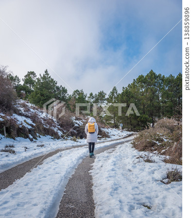 Woman Seen from Behind Walking on Snowy Road in Winter Clothing 138859896