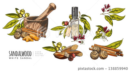 Sandalwood tree products sketch collection vector set, hand drawn leaves, flowers and seed, oil flask, powder and sticks 138859940