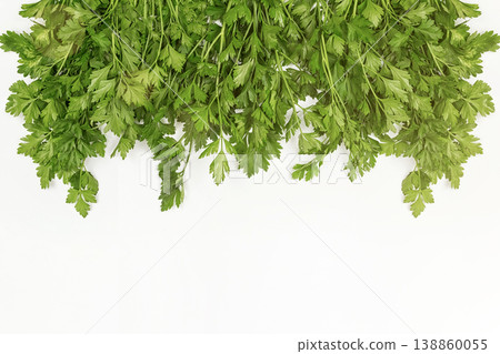 Parsley bunch isolated on white background. Parsley herb leaves Parsley bunch isolated on white background. Parsley herb leaves 138860055