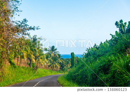 Road Leading to the Sea in Guadeloupe Road Leading to the Sea in Guadeloupe 138860123