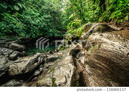 Rocks and vegetation surrounding a pond in the jungle in Basse Terre 138860137
