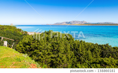 View of La Pelosa beach in Sardinia with turquoise sea white sand shoreline and Mediterranean vegetation in the foreground View of La Pelosa beach in Sardinia with turquoise sea white sand shoreline and Mediterranean vegetation in the foreground 138860181