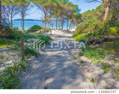 Wooden boardwalk to the sea in Alghero Wooden boardwalk to the sea in Alghero 138860197