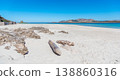 Driftwood on the sand in La Pelosa Beach in Stintino 138860316