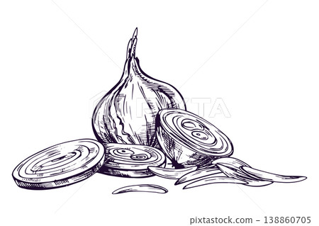 Hand drawn onion illustration with ink sketch style. Whole and sliced vegetable for organic farm product pack design, kitchen menu decor and healthy food label graphic element. Hand drawn onion illustration with ink sketch style. Whole and sliced vegetable for organic farm product pack design, kitchen menu decor and healthy food label graphic element. 138860705