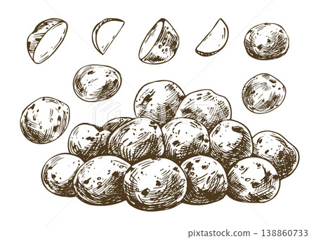 Hand drawn sketch illustration of baby potato tubers and slices. Monochrome ink art for harvest, cooking, grocery store and organic food packaging design. Detailed vegetable outline drawing. Hand drawn sketch illustration of baby potato tubers and slices. Monochrome ink art for harvest, cooking, grocery store and organic food packaging design. Detailed vegetable outline drawing. 138860733