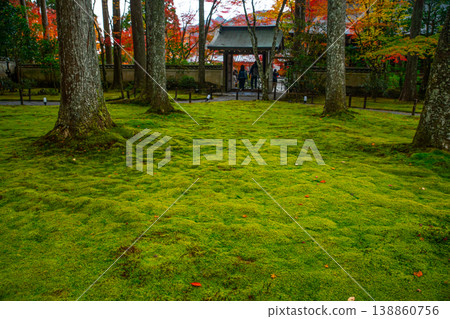 秋季大原三千院的苔蘚庭園 138860756