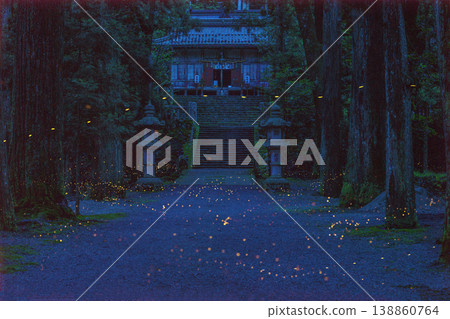 內田神社(兵庫縣)和螢火蟲 內田神社(兵庫縣)和螢火蟲 138860764