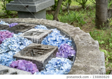 A beautiful Japanese scene with hydrangeas adorning a water basin. A beautiful Japanese scene with hydrangeas adorning a water basin. 138860820