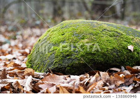 Large stone covered with green moss Large stone covered with green moss 138860946