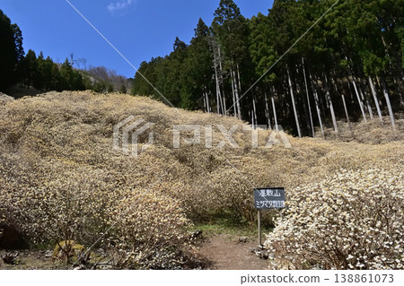 群馬縣桐生市屋敷山的三俁殖民地 138861073