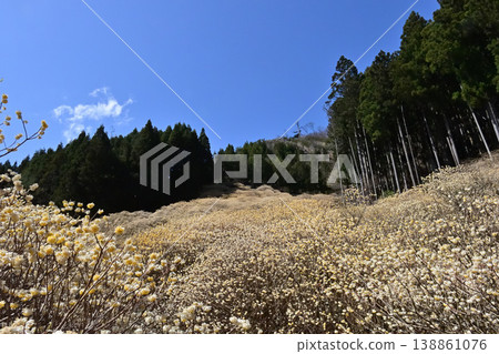 群馬縣桐生市屋敷山的三俁殖民地 138861076