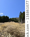 Mitsumata colony on Yashikiyama, Kiryu City, Gunma Prefecture 138861077