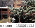 Snow-covered spruce tree against the backdrop of wooden houses 138861138