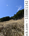 Mitsumata colony on Yashikiyama, Kiryu City, Gunma Prefecture 138861142