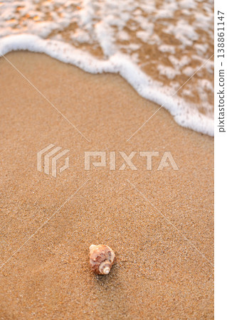 Seashell lying on sandy beach near gentle sea wave with natural coastal background and minimal composition 138861147
