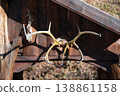 Rustic wooden wall with a decorative antler 138861158