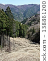 Mitsumata colony on Yashikiyama, Kiryu City, Gunma Prefecture 138861200