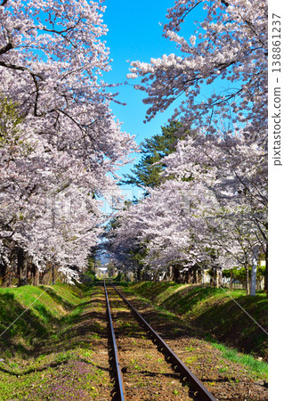 櫻井津輕鐵道蘆之公園站 138861237