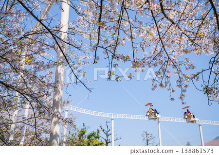 Meito Children's Land Todagawa in Spring: Cherry Blossoms in Full Bloom and the Cycle Monorail (Nagoya City, Aichi Prefecture) Meito Children's Land Todagawa in Spring: Cherry Blossoms in Full Bloom and the Cycle Monorail (Nagoya City, Aichi Prefecture) 138861573
