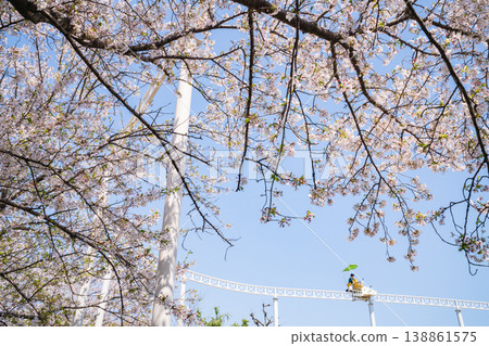 Meito Children's Land Todagawa in Spring: Cherry Blossoms in Full Bloom and the Cycle Monorail (Nagoya City, Aichi Prefecture) Meito Children's Land Todagawa in Spring: Cherry Blossoms in Full Bloom and the Cycle Monorail (Nagoya City, Aichi Prefecture) 138861575