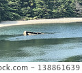 瀨戶內海島 138861639