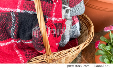 Cozy red checkered plaid blankets in a wicker basket next to blooming pink daisies in a spring garden Cozy red checkered plaid blankets in a wicker basket next to blooming pink daisies in a spring garden 138861660