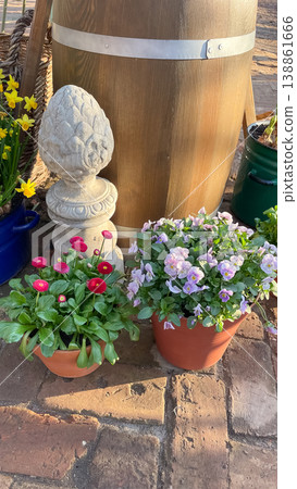 Potted pink Bellis perennis and lilac Viola cornuta with a stone garden finial in a spring courtyard Potted pink Bellis perennis and lilac Viola cornuta with a stone garden finial in a spring courtyard 138861666