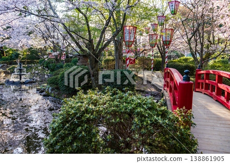 Cherry blossoms and a red bridge at Utsubuki Park, a famous cherry blossom viewing spot. Cherry blossoms and a red bridge at Utsubuki Park, a famous cherry blossom viewing spot. 138861905