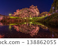 Asai's single cherry tree at night, Kurume City, Fukuoka Prefecture 138862055