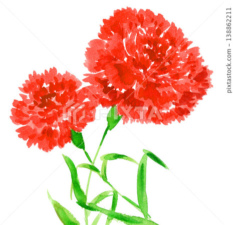 水彩紅色康乃馨（26414像素，7像素） 138862211