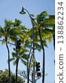 Hawaiian scenery and images 138862234
