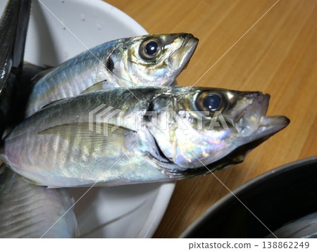 竹莢魚被捕獲 竹莢魚被捕獲 138862249