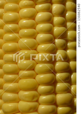 Close up of Yellow Corn Kernels Close up of Yellow Corn Kernels 138862540
