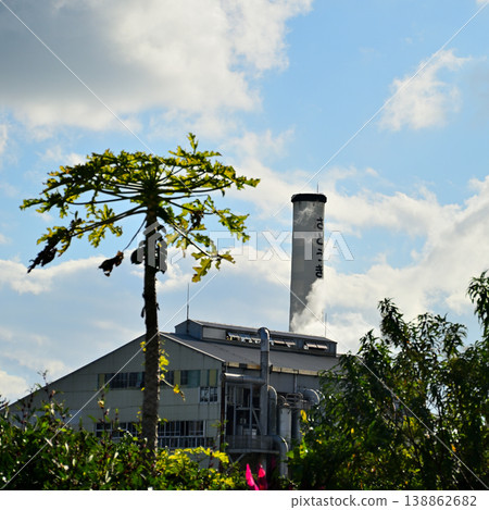 Smoke rising from Yugafu Sugar Mill Smoke rising from Yugafu Sugar Mill 138862682