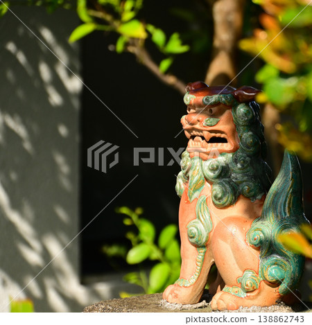 大門頂上的石竹 138862743