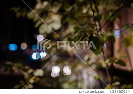 在夜色中,燈光和植物營造出模糊的背景。 在夜色中,燈光和植物營造出模糊的背景。 138862954