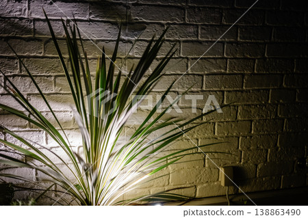 背景素材為一面被燈光照亮的白色磚牆和植物的陰影。 138863490