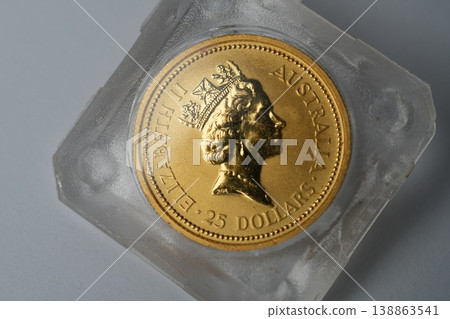 金幣 金幣 138863541