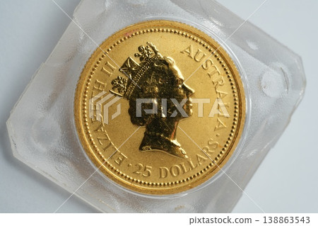 金幣 138863543