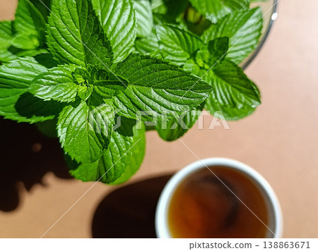 Fresh Mint Leaves and Herbal Tea in Sunlight on Wooden Table Top View Fresh Mint Leaves and Herbal Tea in Sunlight on Wooden Table Top View 138863671