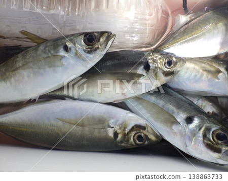 Caught horse mackerel Caught horse mackerel 138863733