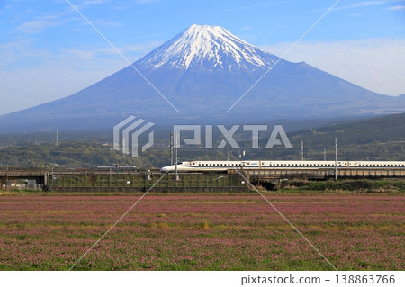 蓮花田和富士山 138863766