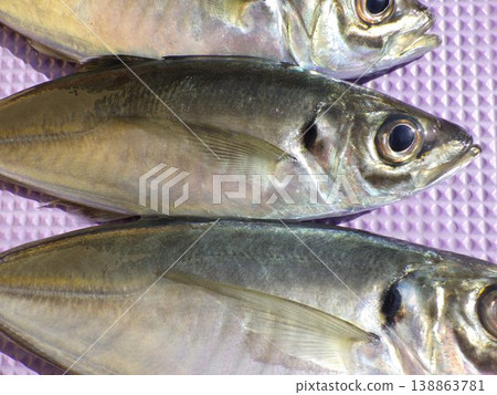Fish, water, fish species, freshwater fish, nature, underwater, swimming, pond, river, water surface, organisms, aquarium, seafood, Tokyo Bay horse mackerel, Tokyo Bay horse mackerel, Hashirimizu Fish, water, fish species, freshwater fish, nature, underwater, swimming, pond, river, water surface, organisms, aquarium, seafood, Tokyo Bay horse mackerel, Tokyo Bay horse mackerel, Hashirimizu 138863781