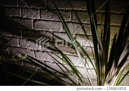 Background material featuring a white brick wall illuminated by light and the shadows of plants. Background material featuring a white brick wall illuminated by light and the shadows of plants. 138863858